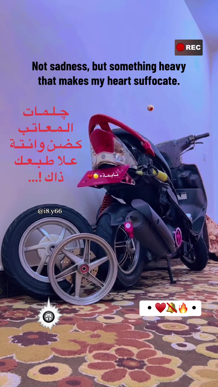ويالة نجمة للبيع مسدوس السعر ب 150 وبي مجال • ***********
