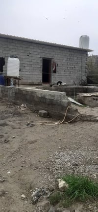 البصام • ٨٠٠م • مع بيت