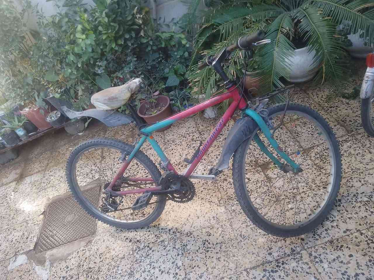 بيسكل حيل نضيف سعر 35 موصل حي المصارف رقم *********** وبي مجال
