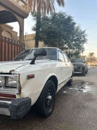 نيسان داتسن ابو حديبة او قمبورة  موديل 1979 السيارة ابلادية ونظيفة ودا...