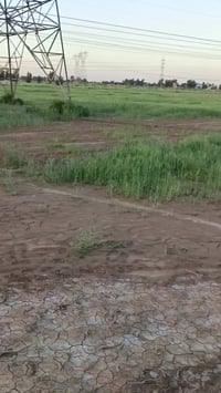 ١٠ دوانم • ٢٥٠٠٠م • وراء الشركه مال الادويه