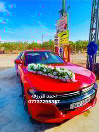تزيين سيارات الاعراس • اجار سيارات للاعراس • القرنه حي الجمعه