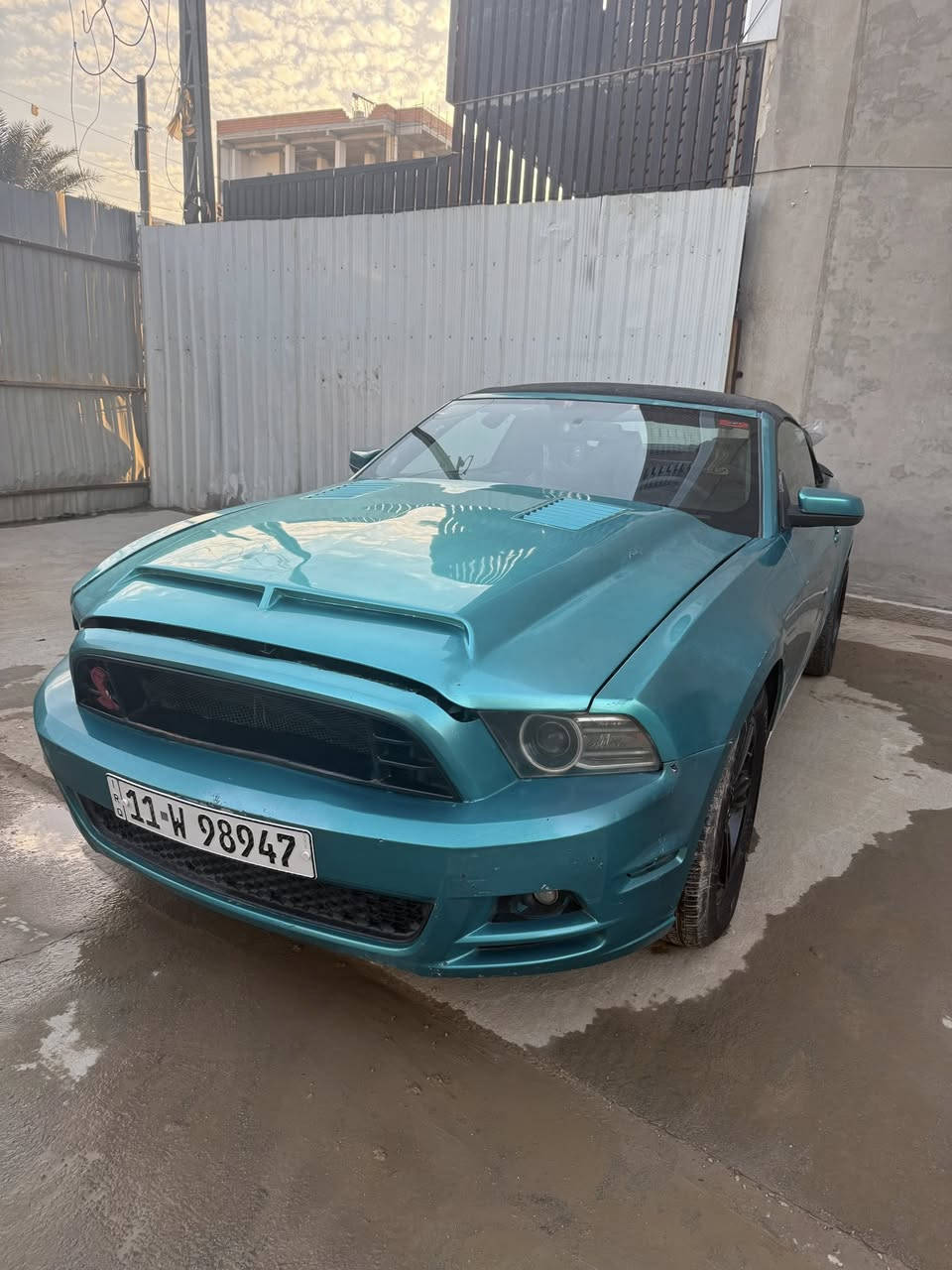 موستنك 14 بريميوم كشف للبيع
١- ستة سلندر 
٢- مصبوغة عام بالسنوية اخضر غير محدد جماليه 
٣- بجم شيلبي 
٤- مقاعد شيلبي 
٥- شاشة اندرويد كار بلي 
٦- كامرة 
٧- ويل 17
٨- تخم تايرات جديد 
٩- باتري جديد قبل شهرين اشتريته
١٠ - سياره بريميوم بالكامل من سماعات شيكر ودشبول ٧ الوان 
١١-كشف شغال 100% الله شاهد بس بي شك صغير بالصفحتين 
١٢-رقم بغداد جديد سياره باسميي تحويل ثاني يوم ومكاني بغداد  
 
السعر ٩٠ ورقه 
رقم الهاتف ***********
