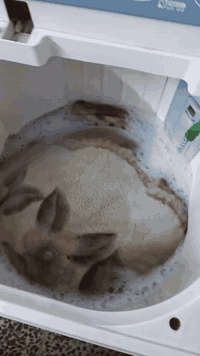 غساله حجم كبير تغسل بطانيه ام نفرين ع فحص غسل اوتجفيف السعر 75 للاستفسار ***********
