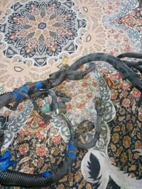 كير وسلندر وكور ضفيرة وعقل وكلج وسلف وداينمو ومجاول وعينة وصينية وفلاو...