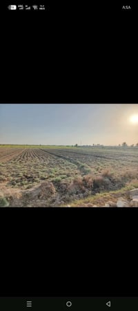 دونم • طابو سند ٢٥ • المدائن جعاره