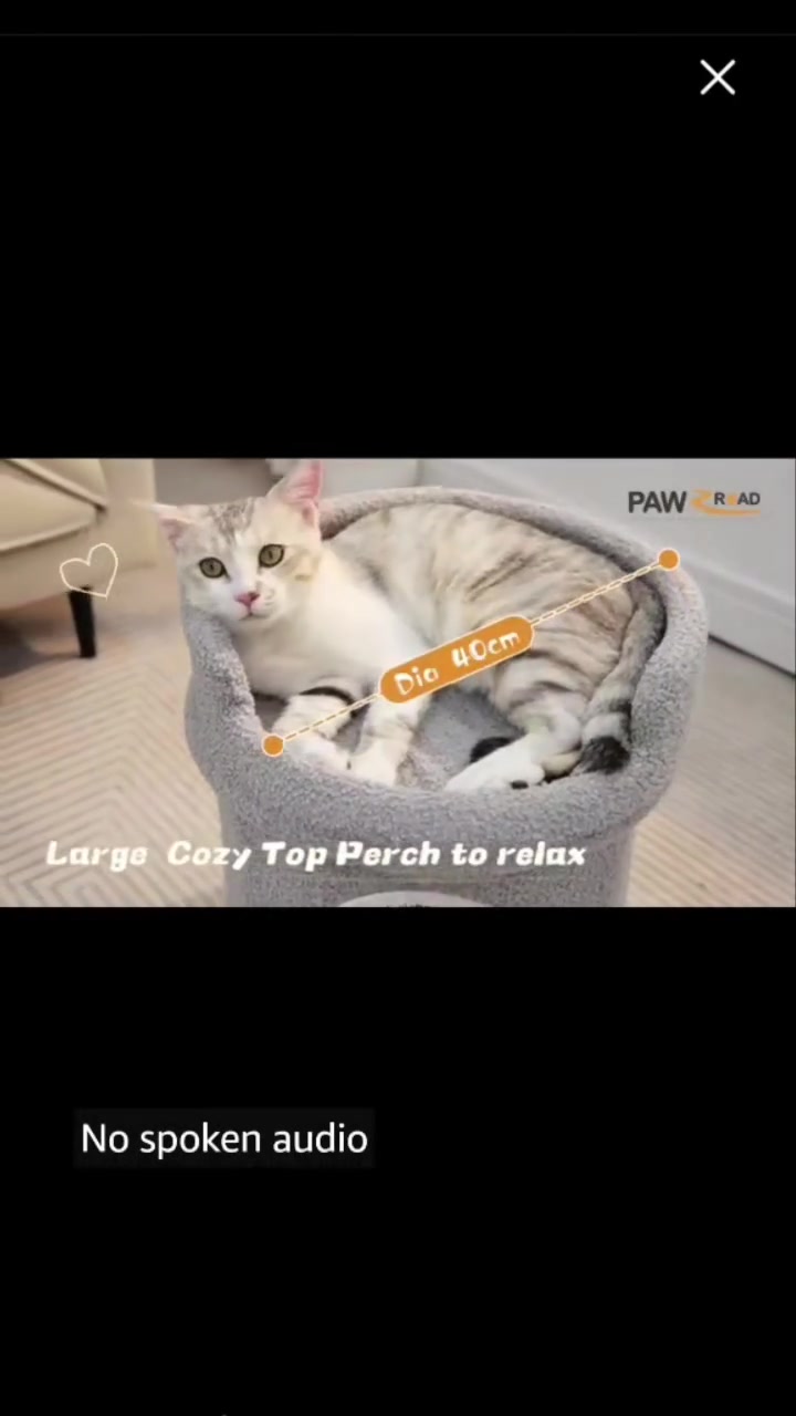 ١٨ الف وب العافيه
يُعد هذا المنتج سريرًا ومنزلًا داخليًا للقطط من نوع Pawz Road، ويتميز بتصميم ذو مستويين مع قاعدة علوية قابلة للغسل وكرة معلقة للعب.العلامة التجارية: Pawz Road.المادة: نسيج صوفي ناعم ولطيف.الميزات: يشتمل على كهف للاختباء في الأسفل ومنصة مراقبة في
الأعلى.اللون: رمادي.


**إذا كنت صاحب هذا الإعلان وتريد حذفه لأي سبب، رجاءا أرسل رسالة إلى الدعم الفني**