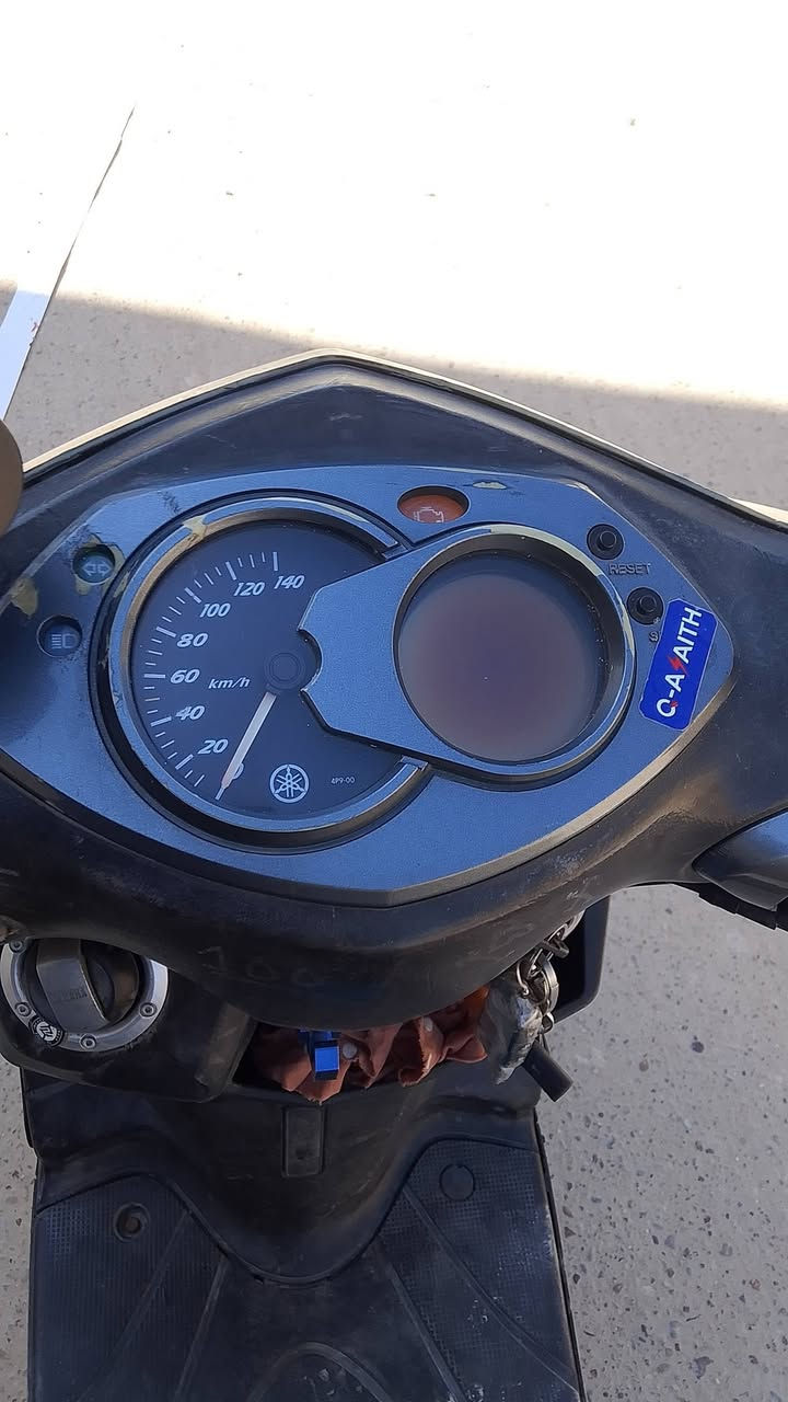 سكنس فحل ياباني البيع او مراوس واخض فرق مكفول شلعه ومعدل فول بغداد مدينة صدر900الف ***********
