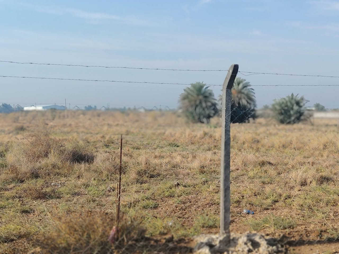 ارض زراعية قرب البانزين خانه لتل مسكين ثلاث دوانم وربع مسيجة للبيع يوجد فيها سياج وكهرباء سعر الدونم ٧٥ مليون للاستفسار الاتصال على الرقم ***********.
