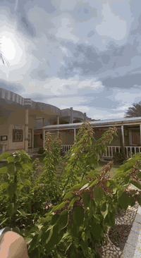 سلام عليكم #بيت_للييع طابقين الفلوجةـ نهر فليح
#مساحه_500 م 
#شارع ـ10 م
مكون من استقبال ـ صاله كبيره ـ اربع غرف نوم ـ صاله صغيره ـ حديقه كبيره ـ مسالك ـ حمامات داخليه وخارجيه

الاستفسار الاتصال 
      ***********
      *********** ✅  واتساب
