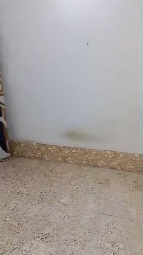 مكلف بل نشر ***********
