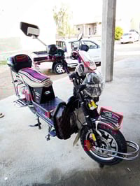 جبلي • ٢٠٢٥ • جديد