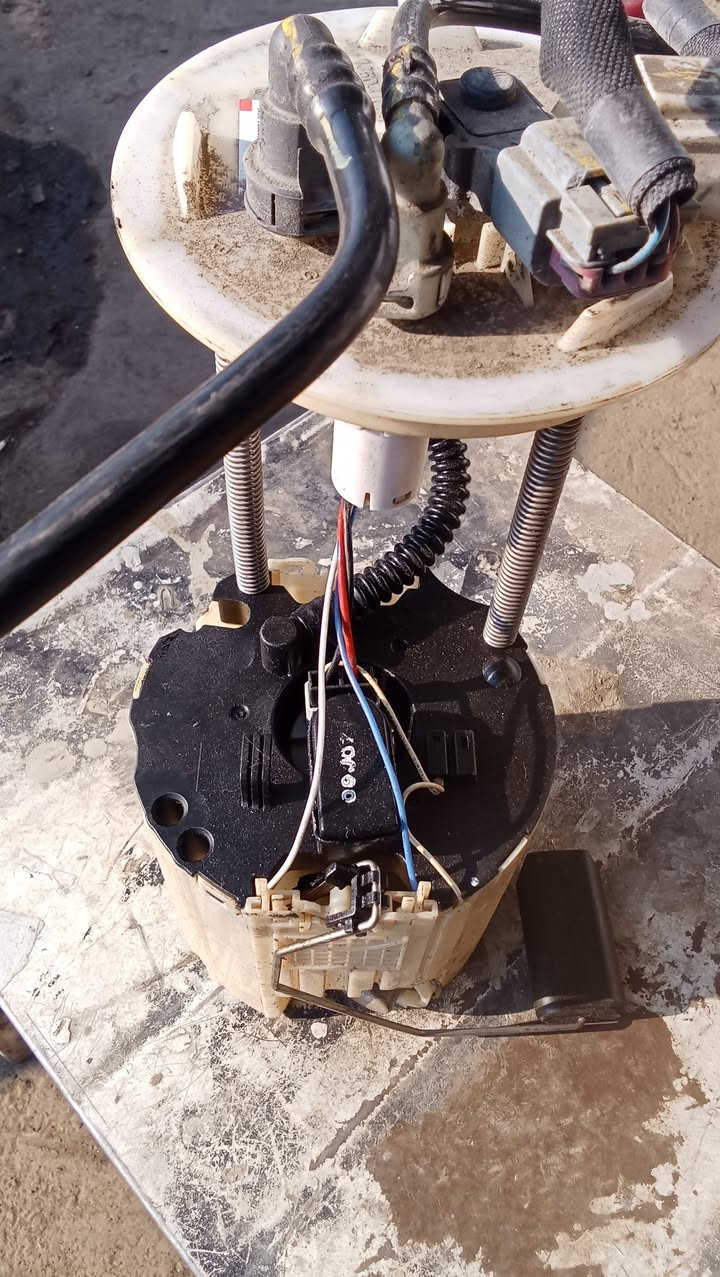 فيت بم تفصيخ أصلي الربيع ***********
