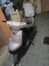 بطة • نضيفة • ترتيبات