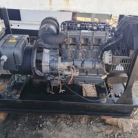 مولد لستر انكليزي • 4 بستم • ابو غريب بغداد