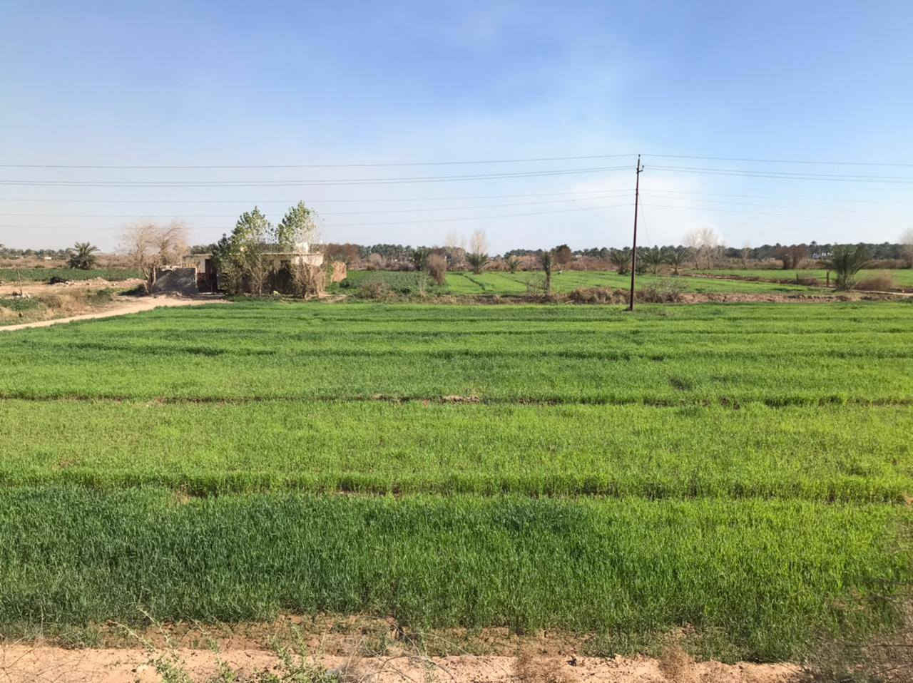 السلام عليكم توجد ارض للبيع توجد كل الخدمات بها ماي السقي وماي رساله وكهرباء وتبليط وتحتوي على بيتين العنوان واسط قضاء العزيزيه الدير الادنى الاستفسار على هذا الرقم ***********  ***********
