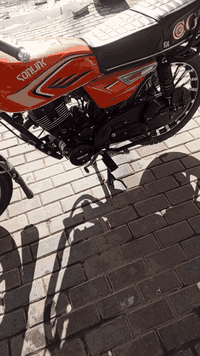 دراجه25 بعده جديده زيرو بصمات2 سويجات2منفيس بل  حقيقه احله الدراجه السعر860 اتصل ودلل***********
