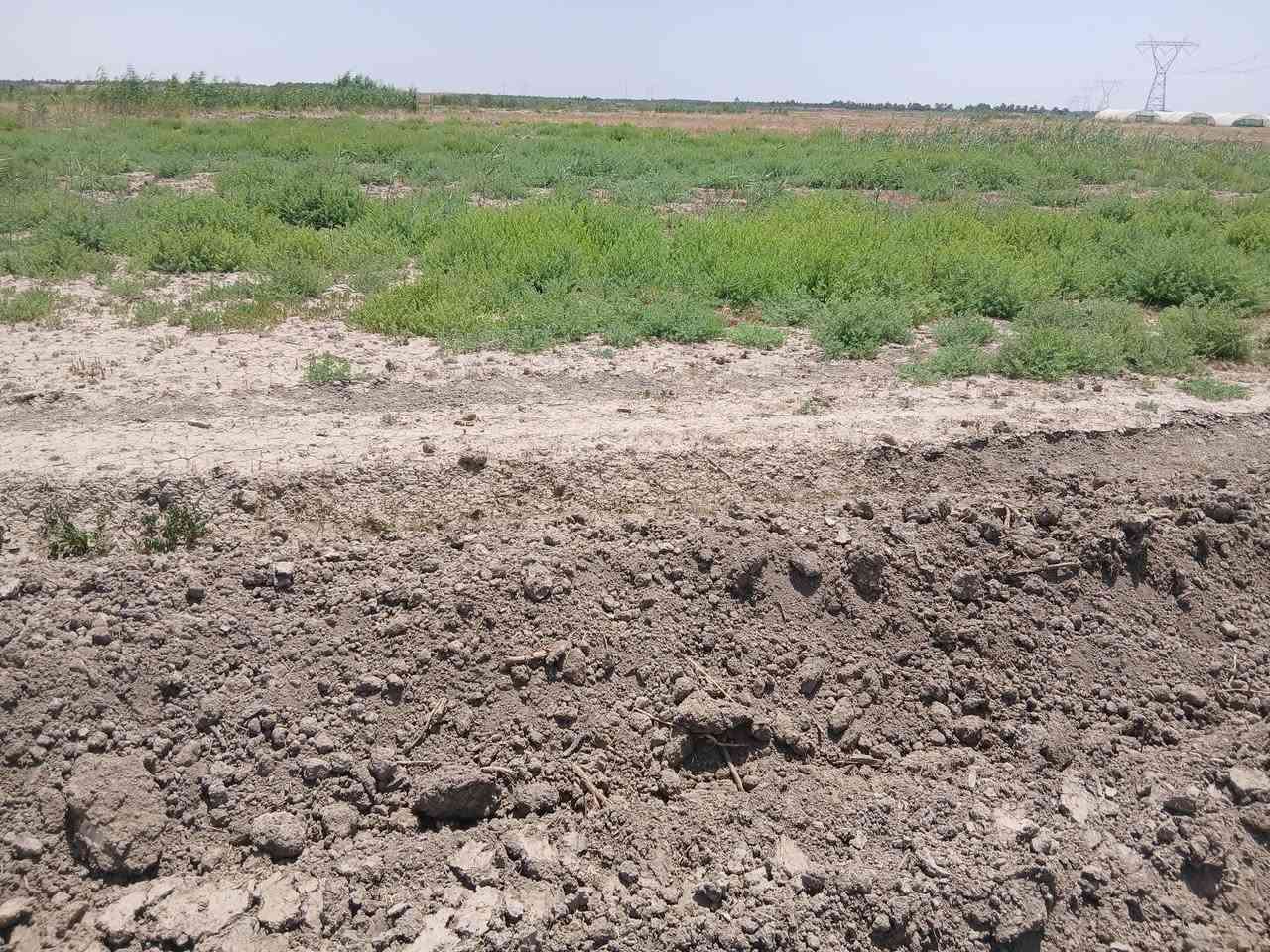 السلام عليكم ارض طابو سند 25 المساحه 10 دونم  سعر الدونم 12 مليون الصويره نهر ماء سقي مكان مرتب تحويل مباشر تصلح لا اي مشروع زراعيه تربه لارض جيده للستفسار التصال ***********
