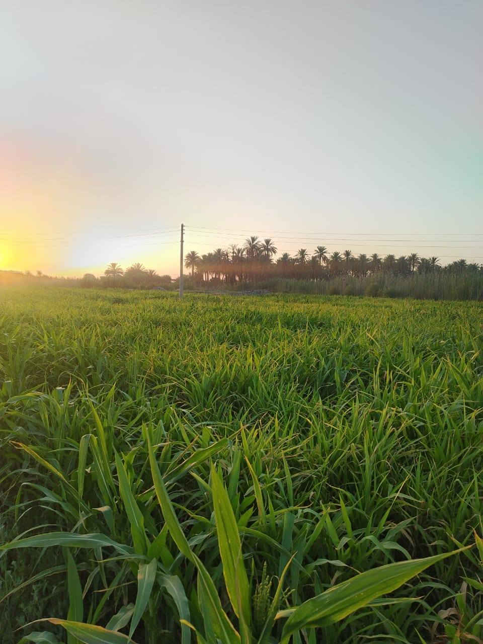 السلام عليكم
يوجد اربع دونم للبيع طابو زراعي سند 25
اساله و نهر
قرب المدارس والاسواق
تبعد عن الشارع 300 متر
***********
