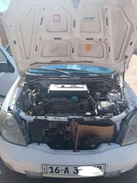 طيبه • ٢٠١٣ • خصوصي قادسيه