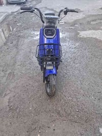 دراجة شحن ريان حجم ١٤ للبيع نظيفة السعر ٢٥٠ المكان شهداء السيدية بيها ...