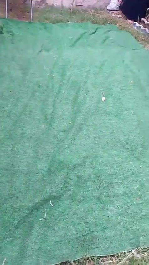 تارتان زرع اصطناعي نضيفف استعمال قليل طول ثنين ونص عرض ثنين ونص
ب٣٠ الف *********** 
شارع د.حافض
