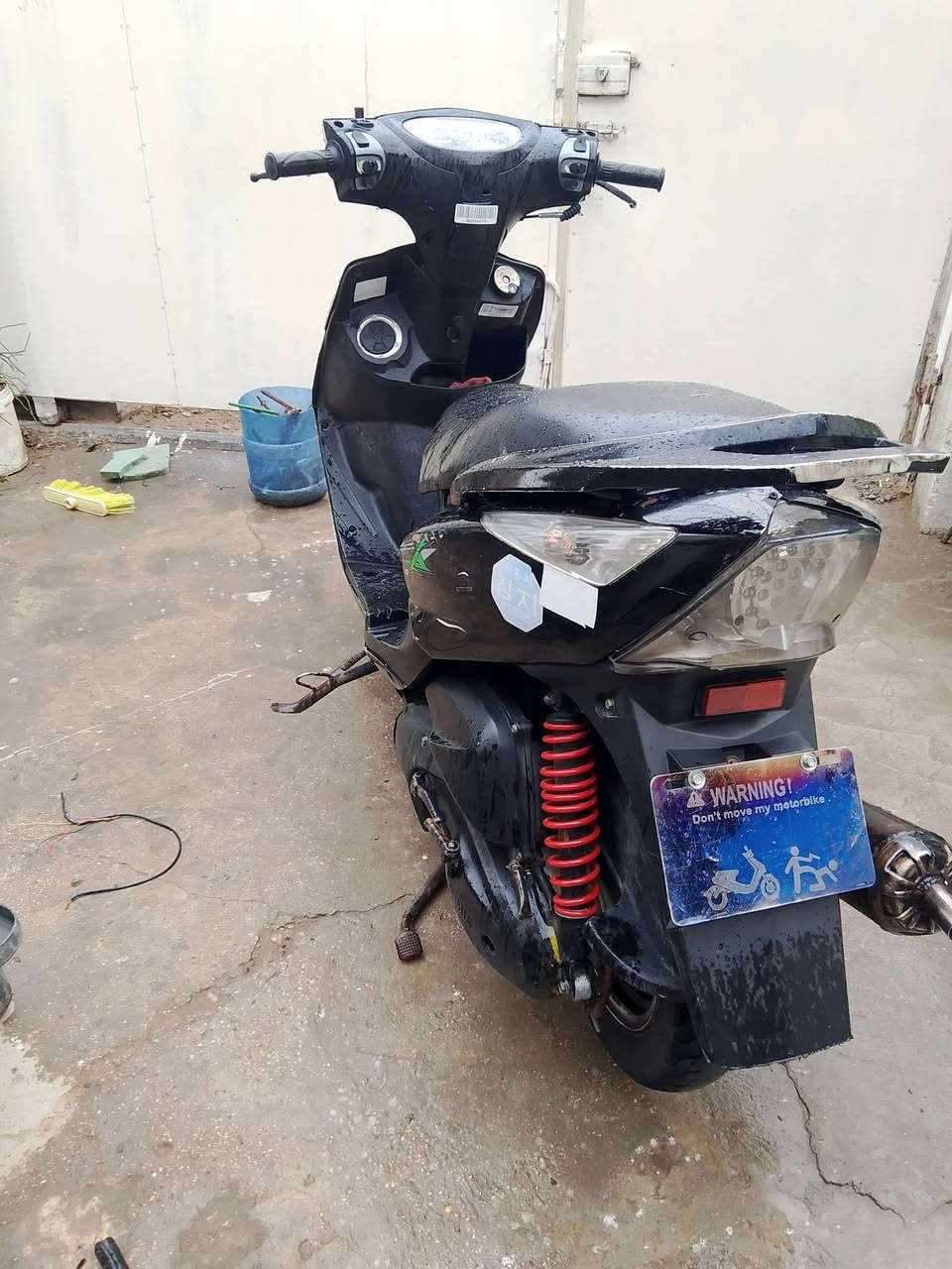 ثعلب بلادي.نوزل.اريد مراوي
***********
