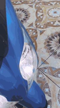 السلام عليكم فورزه صفر عشره للبيع مواصفات الدراجه
S7 ABS مسجل بلاد اواكس

منظومة زنون ياباني 

جامه طويله 

جنطه هونده 

مشيه 60الف 

ستان حساس 

كلوب جنطه 

الدراجه مصبوغة للجماليه

محرك وكلجات وكير وقايش مكفول كله بلاد

عنواني البصره القبله باقي التفاصيل وسعر على الخاص أو على الرقم 

***********بي واتساب عدم ذكر السعر للبعض الأنفس الضعيفة
