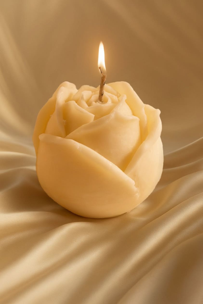 أناقة بسيطة… بس ملفتة ✨
وسعر يخليك تاخذ أكثر من قطعة 💛
متوفر توصيل لكل محافظات العراق 🚚


**إذا كنت صاحب هذا الإعلان وتريد حذفه لأي سبب، رجاءا أرسل رسالة إلى الدعم الفني**