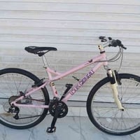 لويس جارنو • عجلات 26 • شيمانو ٣×٨