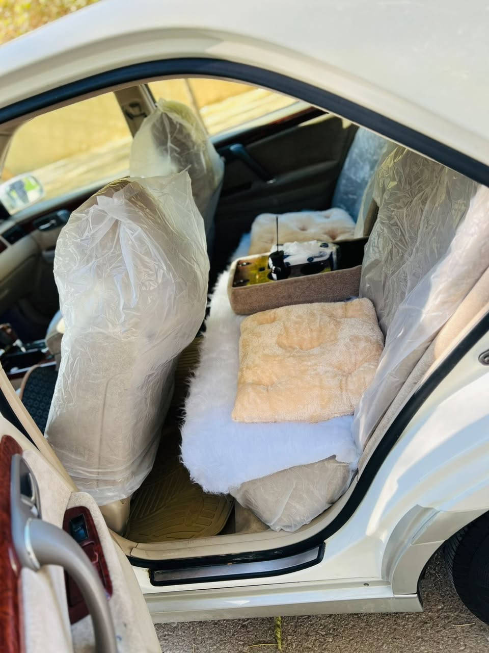 سڵاوی خوا لە هەموو لایە
مەلیکە مۆدێل ٢٠٠٢ موس دیفور گەورە پشت کریستاڵ پێش عیون لایتەکانی تایبەتە دەشپول نەجەف ناوەوەی سەیارەکە زور تازە ماوتەوە٣ دوگمە ٤ کوشن کارەباو پەردەشە مەزبوتە تەبریت مەزبوتە گیرو مەکینە بەشەرت تەقەو رەقەی نیە یەک پارچەی بویاخە سونەریم داناوە گورینوش بە شتی بە دلم بیت سعری ٤٧ معامەلە شوین کەلار ***********
