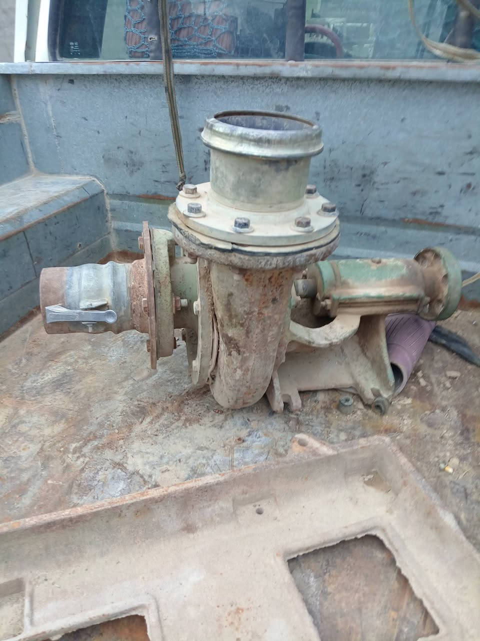 خنزير للبيع هيه والقاعده ***********
