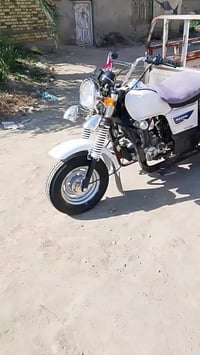 شباب ستوته للبيع او مراوس موديل 13اورق حتى ورقته وكيل بيه شاصي كفاله ب...