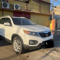 خليجي • ٢٠١١ • بدون صبغ