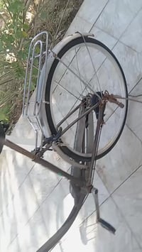 باسكل • مقاس 26 • بخير