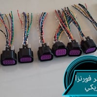 فيشة • فورنزا • افيو