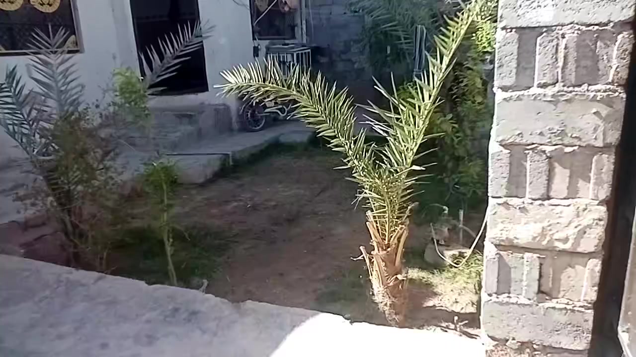 سلام عليكم بيت في جبيل قرب جسر ثالث 
المساحه 220مت السعر 65 مليون بي مجال 
مكلف بل نشر هاذه رقم ابو البيت تصل برقمه 
***********
