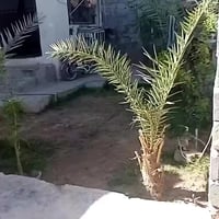 جبيل جسر ثالث • بيت • ٢٢٠م