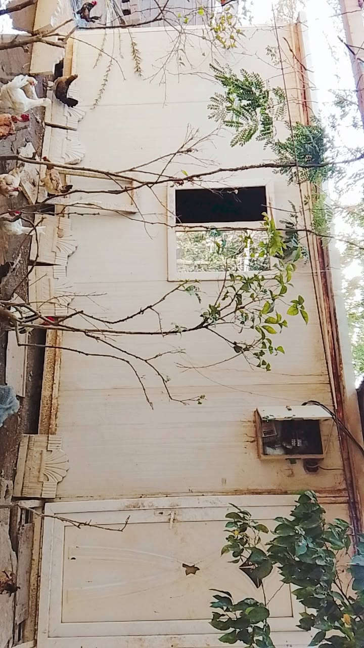 كرفان مستعمل نضيف مئسس داخل وخارج واجهه 6 نزال 3 لمكان بغداد جسر ديالى قرب فلكه سلمان باك سعر مليون وربع وبي مجال ***********
