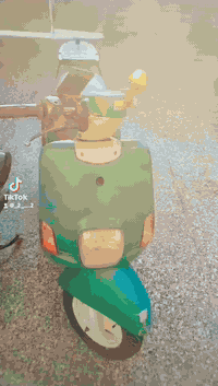 ماكس بوليس للبيع كفر بلادي بس مسبوق داخل كريمي الماكينه بالكيس لو انا ...