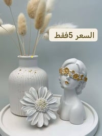 تخفيضات • هدايا • سيتات البورك