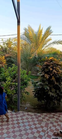 كربلاء طويريج • ٤٠٠م • طابو زراعي