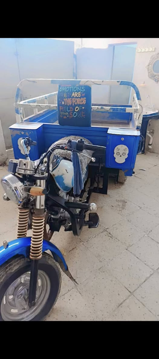 ستوته للبيع موديل 16 أوراق الكوت واسط ***********
