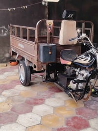 ستوته • ٢٠١٩ • شاصي مكفول