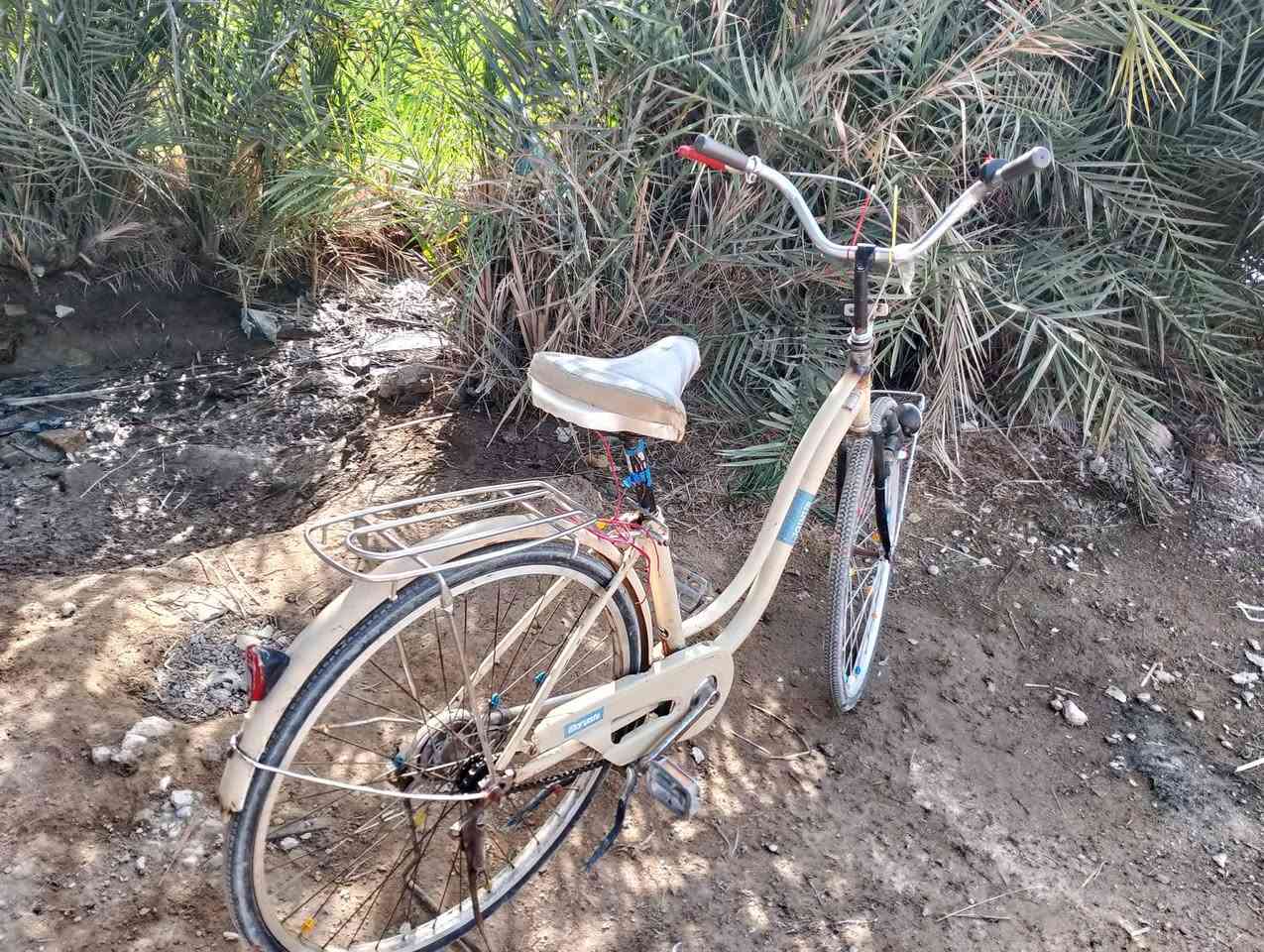 باسكل البيع سعر، 75وبي مجال


**إذا كنت صاحب هذا الإعلان وتريد حذفه لأي سبب، رجاءا أرسل رسالة إلى الدعم الفني**