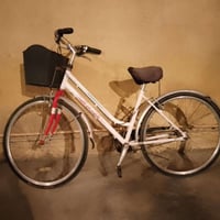 بايسكل • ياباني • مقاس ٢٧