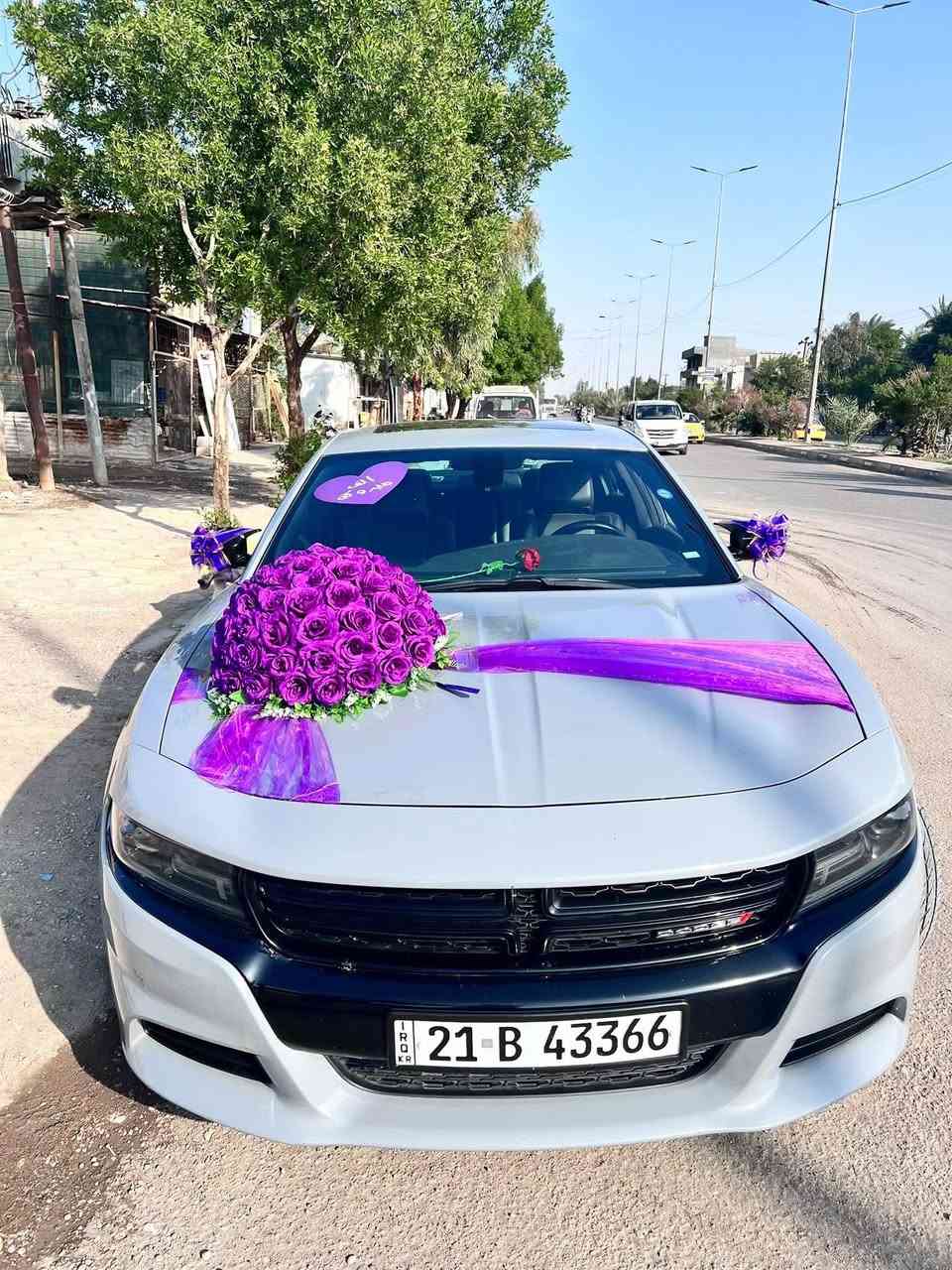 جارجر 2021سموك السياره حادث مسبق يعني مصلح بامريكا مجرد كلير مرشوشه ماشي 85ميل مواصفات sxt plus يعني فتحه كشنات تدفئه تبريد تحكم كهرباء ستيرن هيتر كشنات خلفيه هيتر حفظ ميموري الكشنات شاشه كبير مكاني التحرير السعر 220وبي مجال ***********
