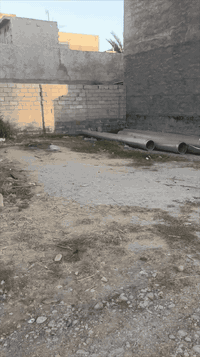 برغة • ١٠٠م • خدمات كاملة