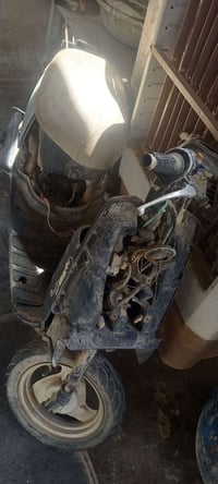 ابيك • الشاصي ما ملحوم • الديوانية