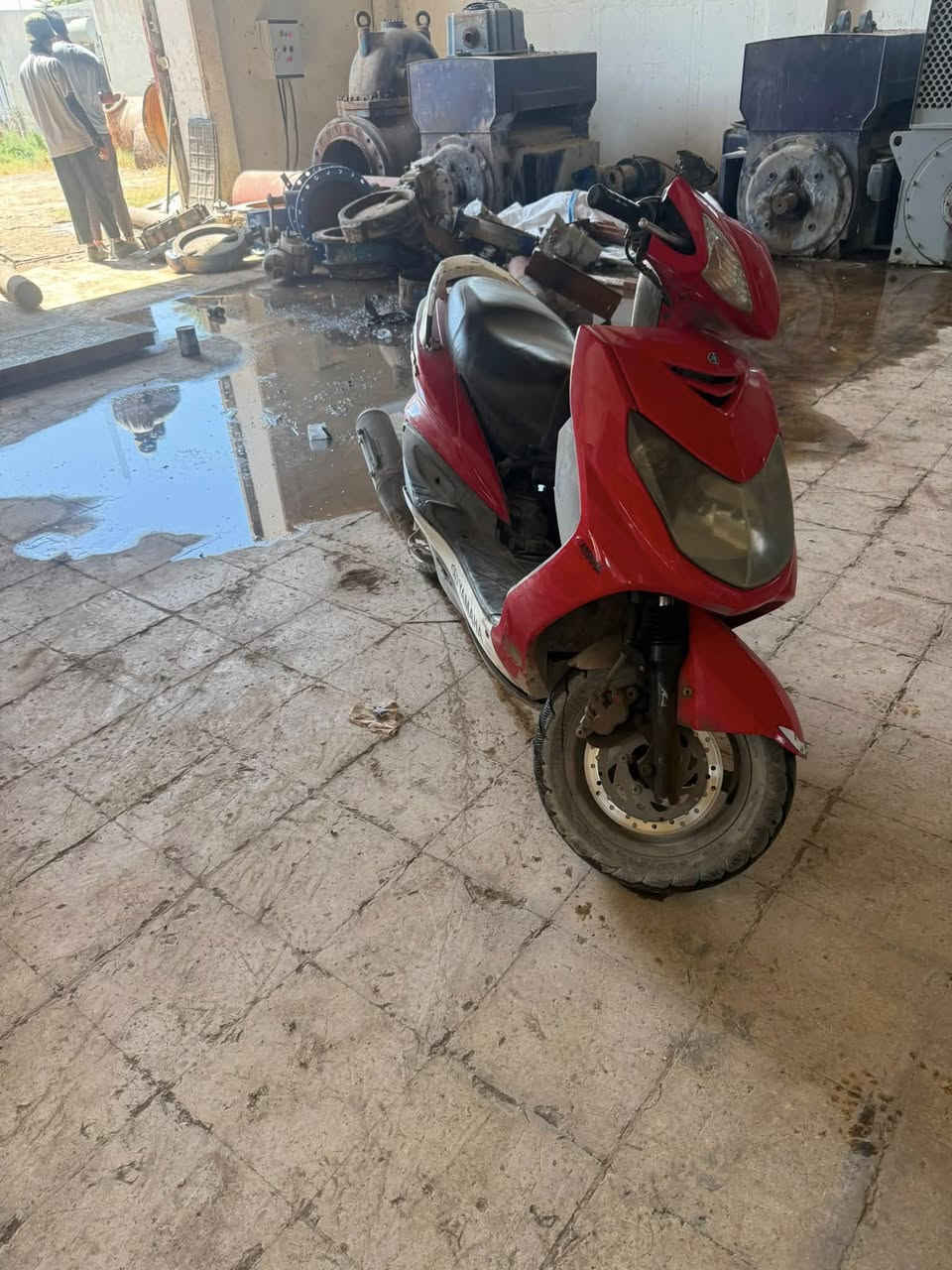 سكنس فحل نوزل  مكفوله مكينه ناعمه كلجات يرادلهة شوي ادامه ترايك وين ما تريد اي نقص مابيهة  سعر 650 بيهة مجال حك الجيه رقم ***********
